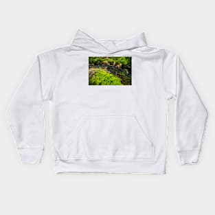 Fern in the forest creek landscape Kids Hoodie